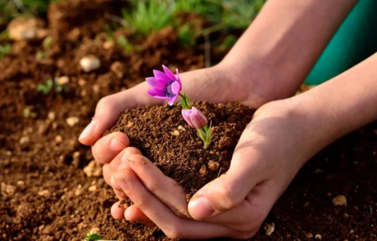 Knowing the soil variants