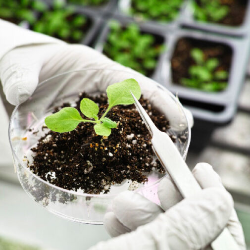 Fertilizer analysis in Chennai