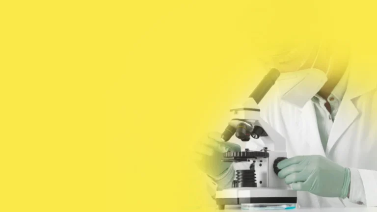 How SEM with EDX Analysis Helps Your Manufacturing & R&D (Chennai Lab)