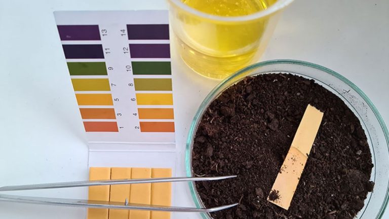 Understanding the Science Behind Soil Testing