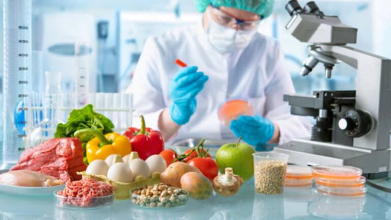 Top 10 Food Testing Methods for Safety and Quality Assurance