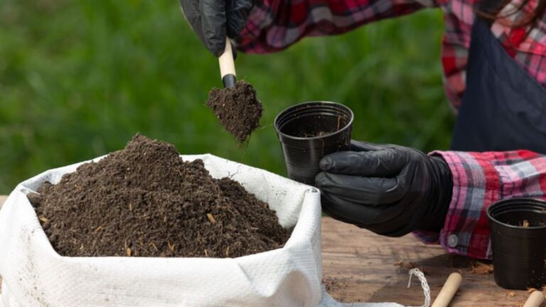 What is soil porosity in agriculture: An Overview